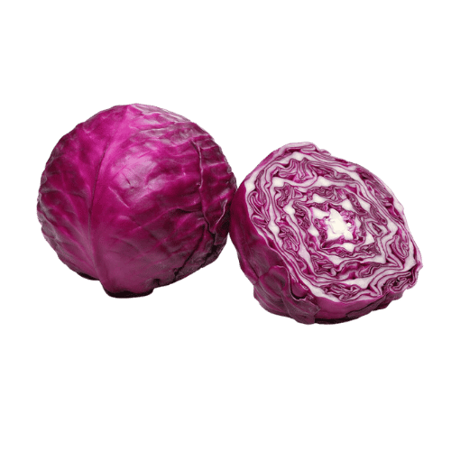 Red Cabbage